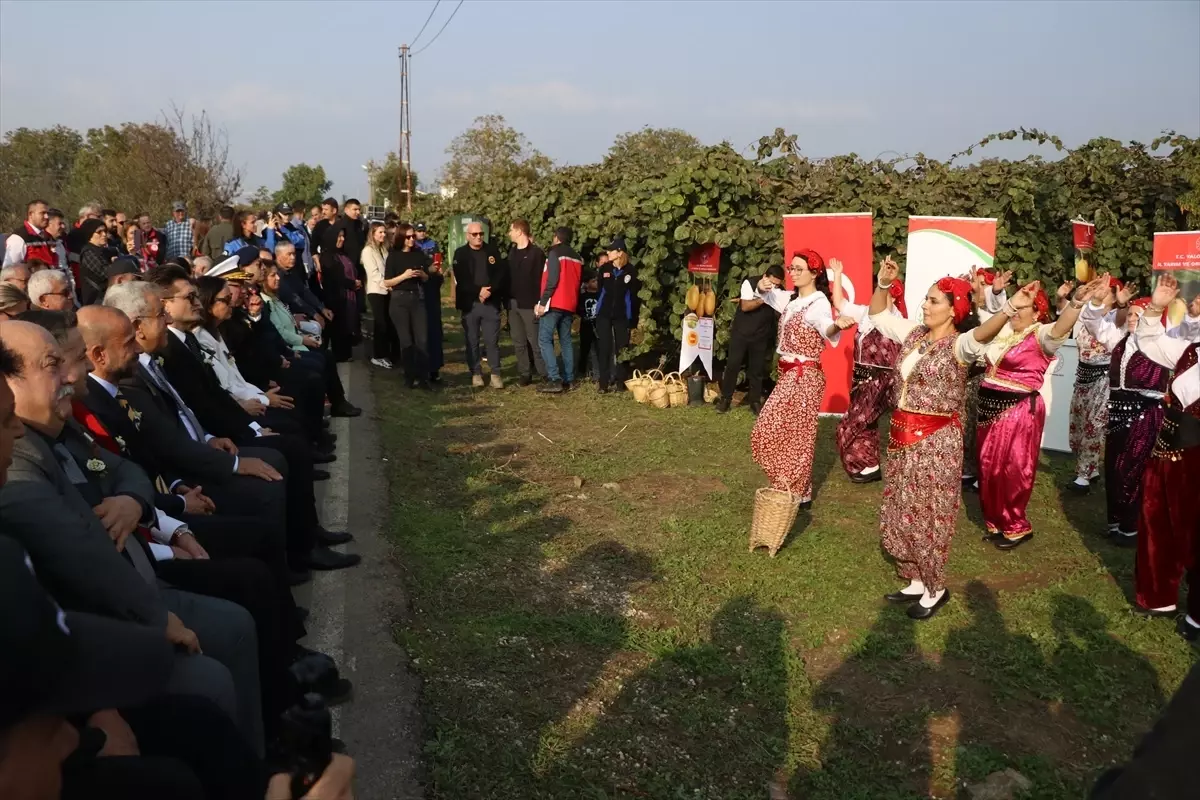 Yalova’da Coğrafi İşaretli Kivi Hasadı Şenliği Coşkuyla Başladı