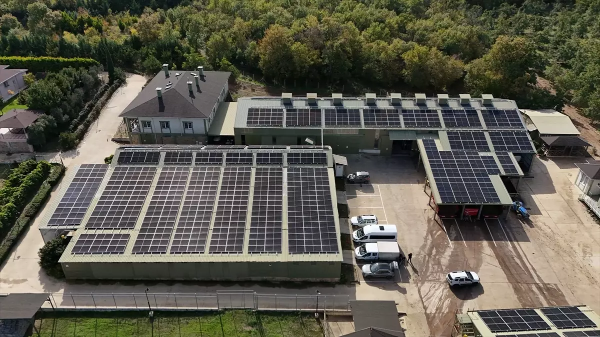 Güneş Enerjisiyle Ceviz Üretimi: Kırklareli’de Yeşil Çiftlik Modeli