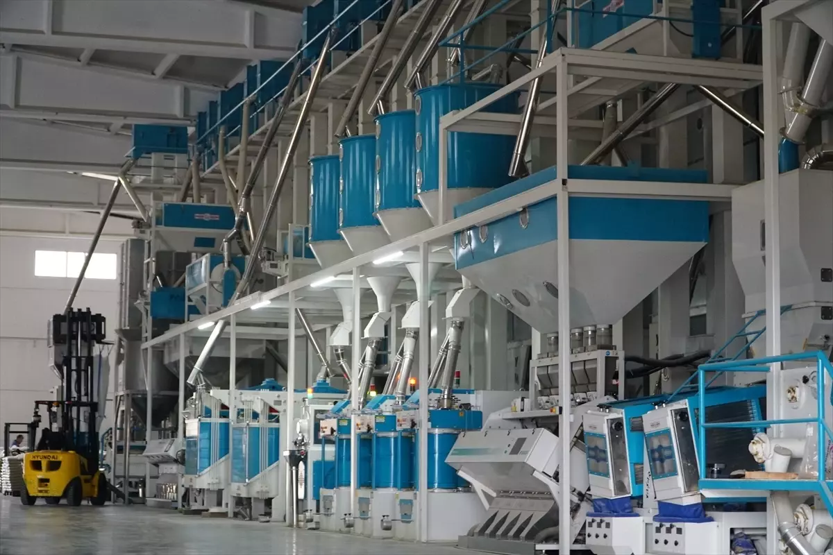 Osmancık Pirinci: Modern Kurutma ile Lezzet ve Verim Artışı