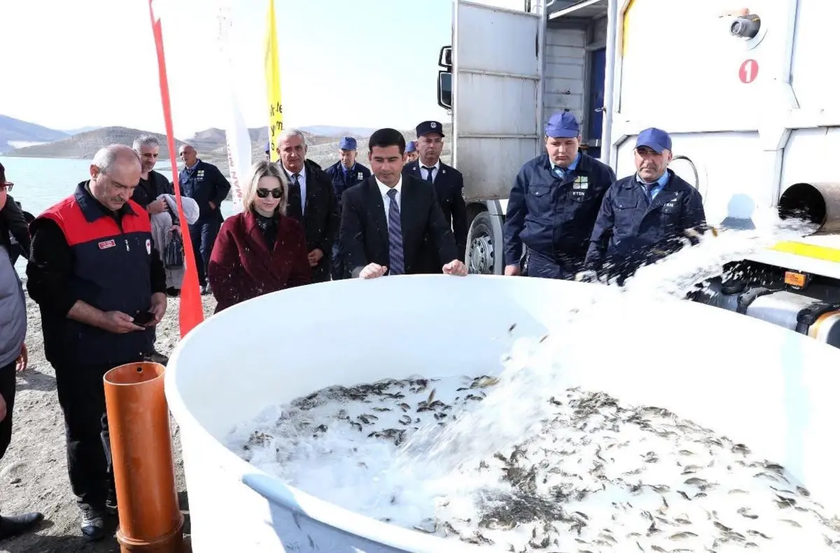 Nahçıvan’a 300 Bin Sazan Balığı Yavrusu Hibe Edildi