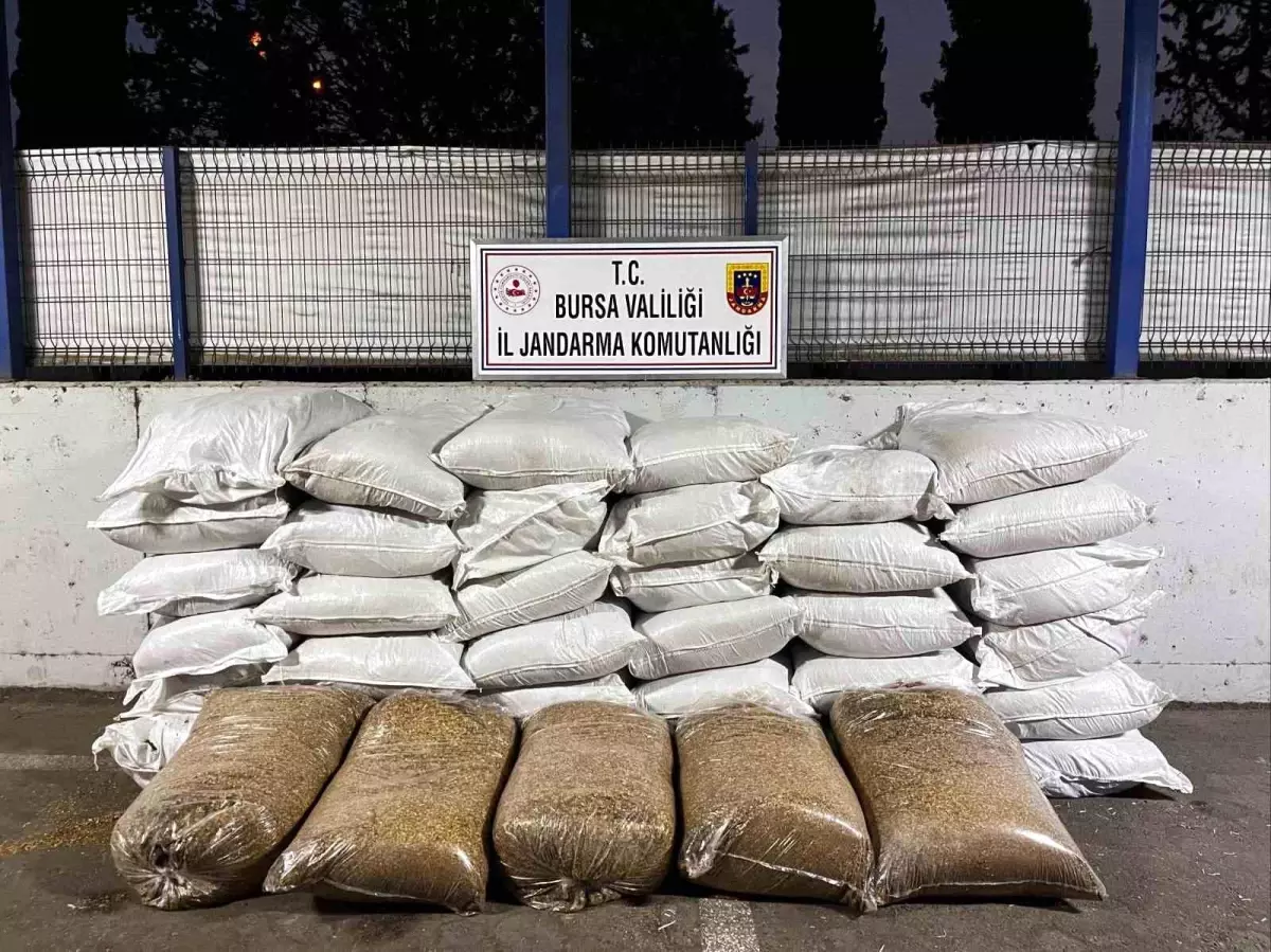 Bursa’da Kaçak Sigara Baskını