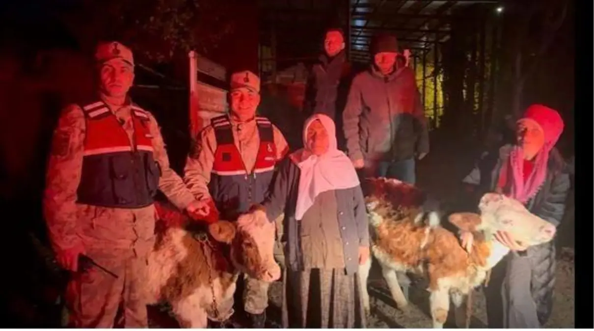 Çalınan Hayvanlar Bulundu