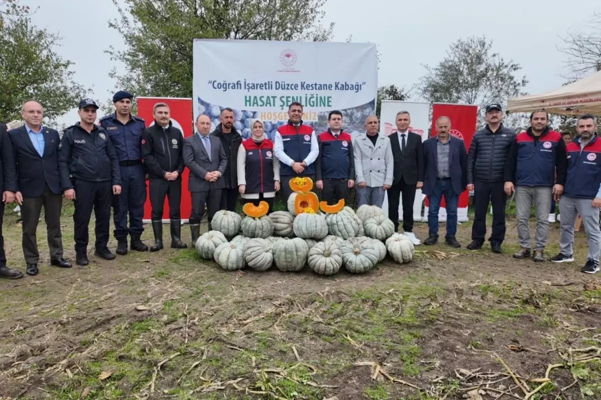 Düzce’de Kestane Kabağı Hasadı Başladı: 10 Bin Tonun Üzerinde Rekolte Bekleniyor