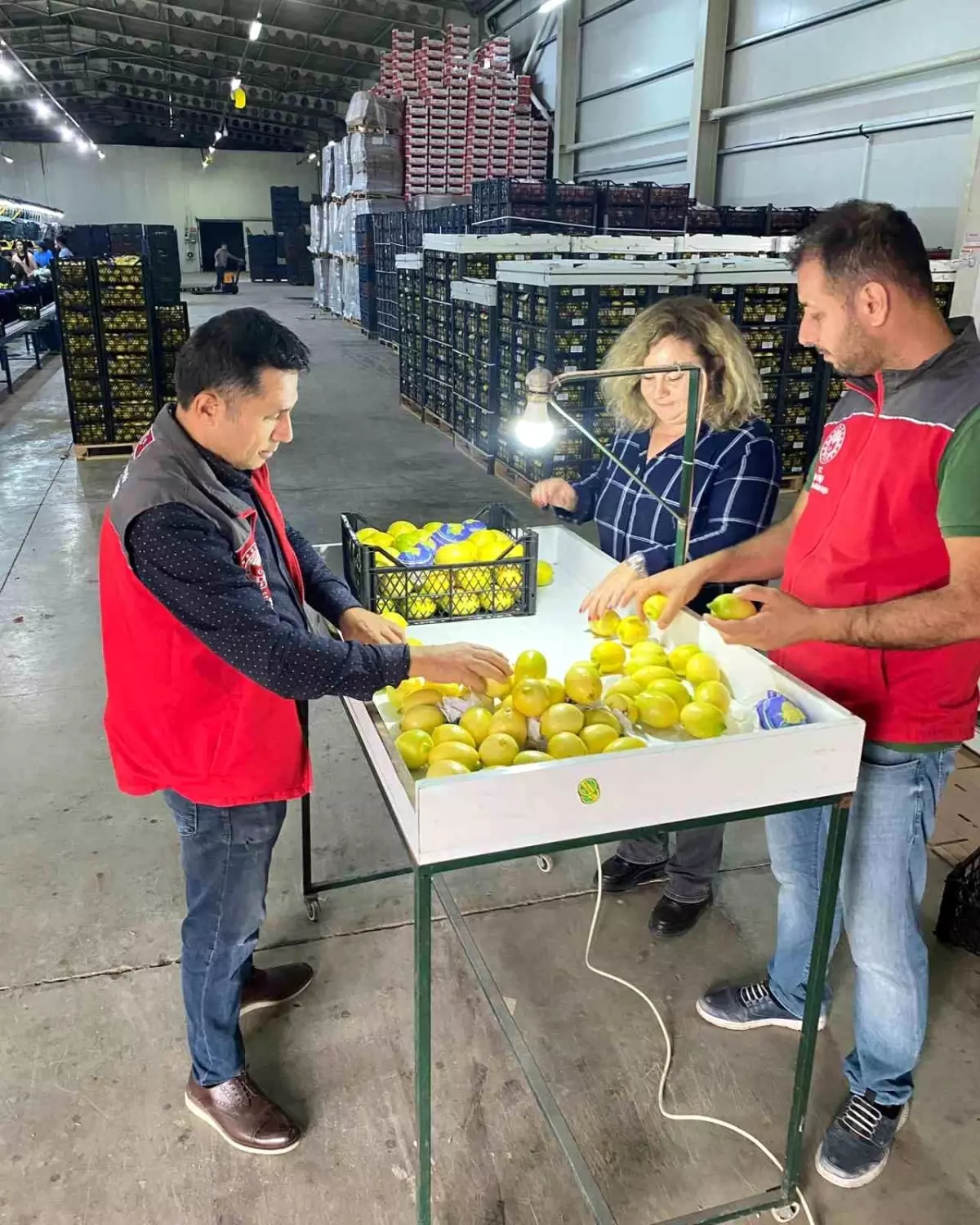Ortaca’dan Avrupa Birliği ve Balkan Ülkelerine İhracata Tam Onay!