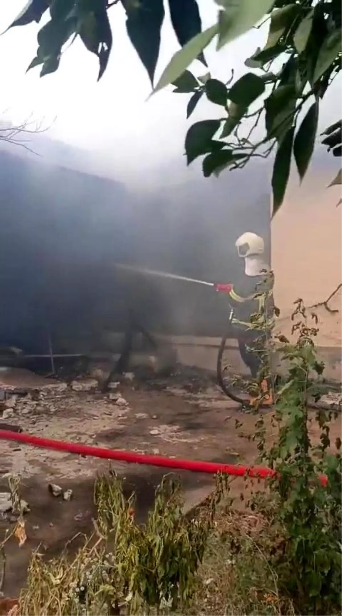 Ceyhan’da Yangın: Engelli Kadın Hayatını Kaybetti