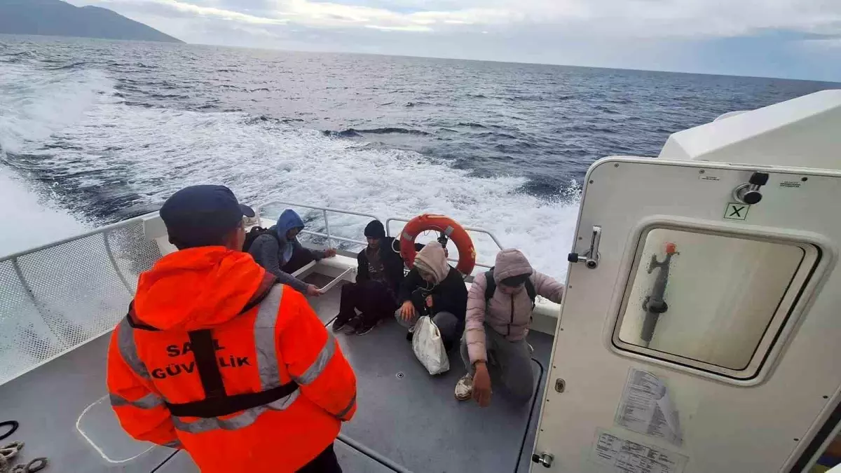 Leylek Koyu’nda 4 Düzensiz Göçmen Kurtarıldı