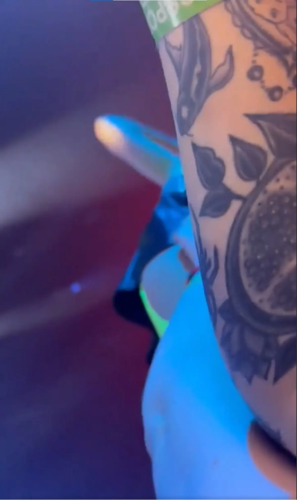 Ünlü Şarkıcı Halsey Konserinde Taciz Şoku: Güvenlik Anında Müdahale Etti