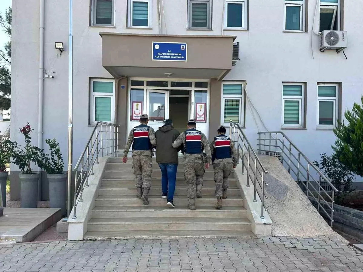 Firari Hükümlü Halfeti’de Yakalandı