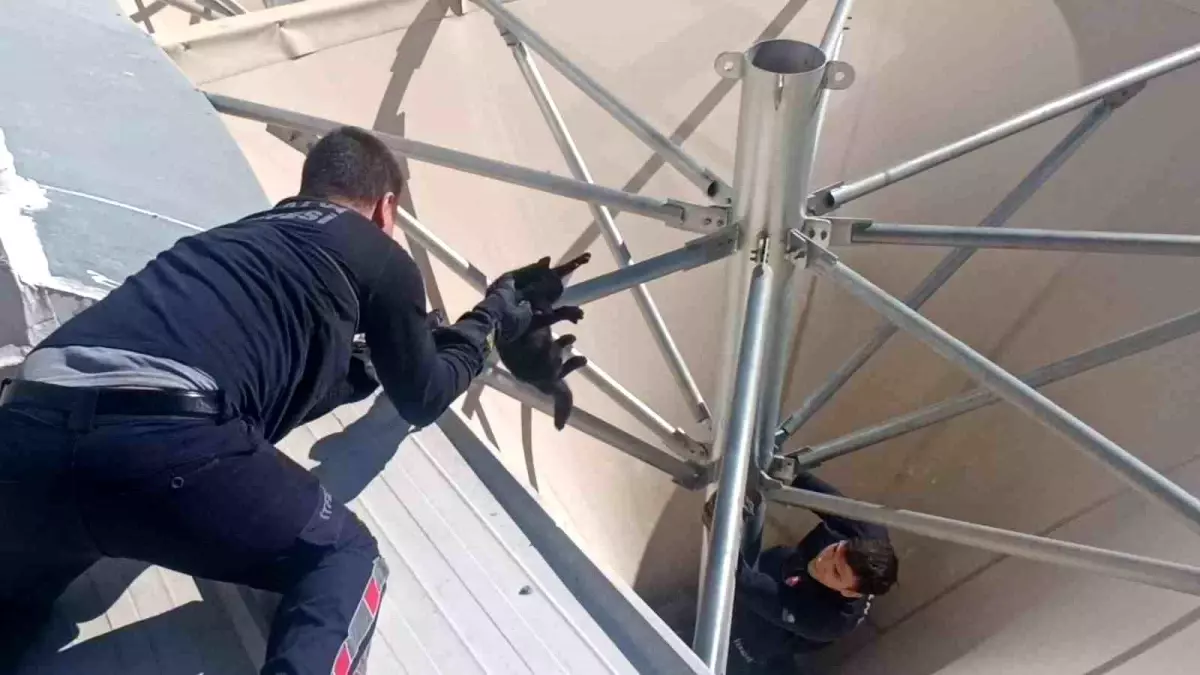 Antalya’da Mahsur Kalan Kedi İtfaiye Tarafından Kurtarıldı