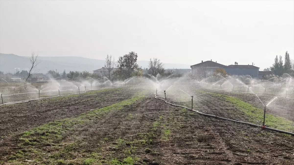 Amasya’da Kayadüzü Köyü’ne Modern Sulama Tesisi Açıldı