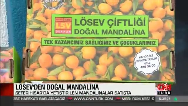 Söke Belediyesi Halk Sağlığı için Mandalina Kampanyasına Destek Veriyor