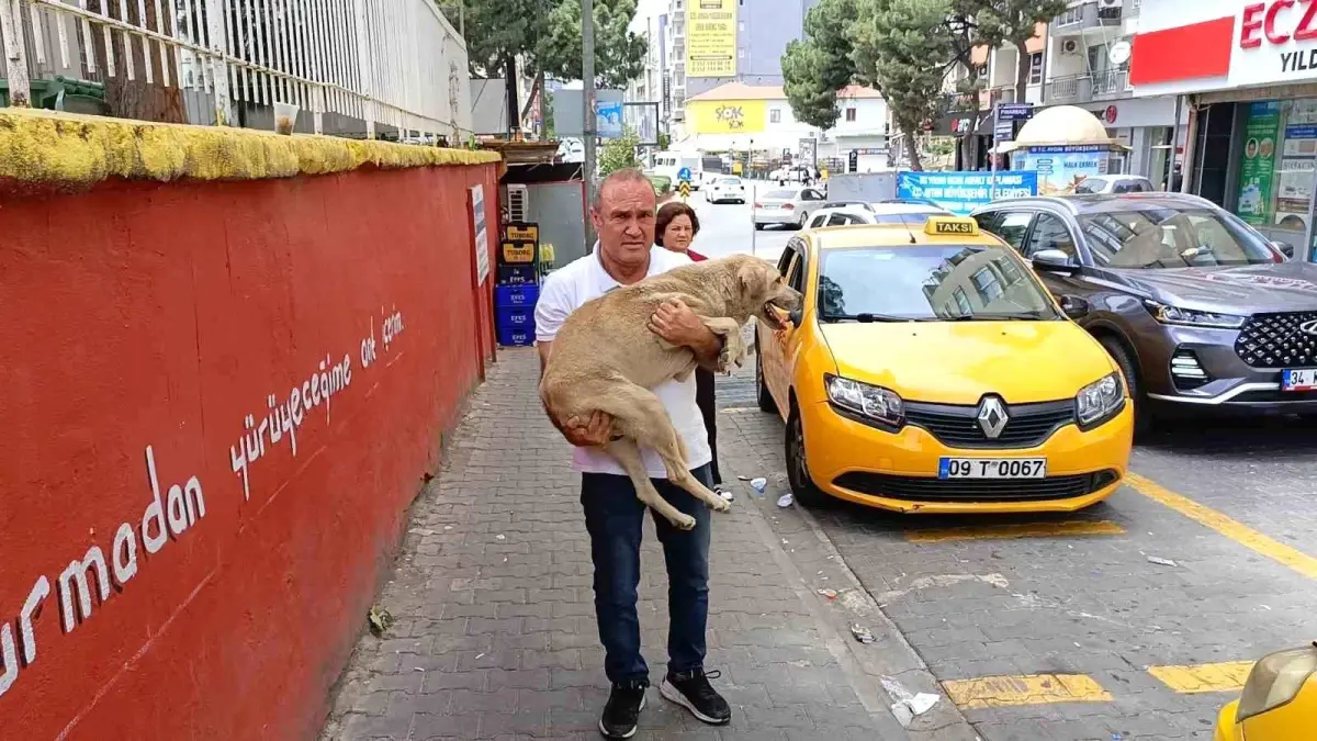 Hayvansever Taksici Köpeğin Canını Kurtardı