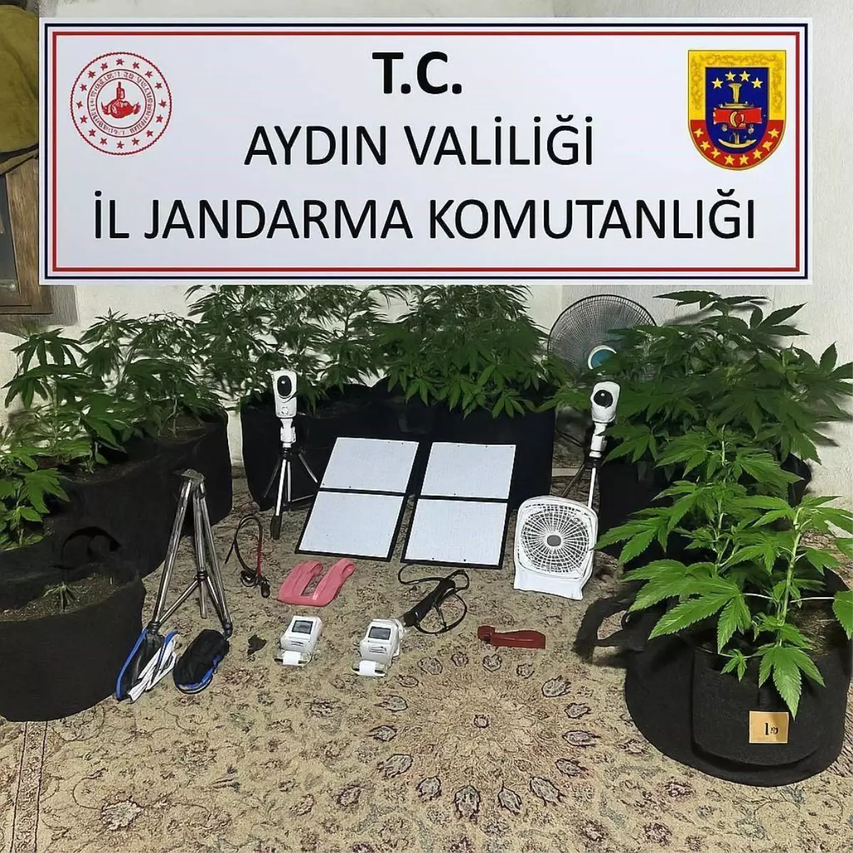 Üniversite Öğrencisinin Uyuşturucu Planı Bozalandı