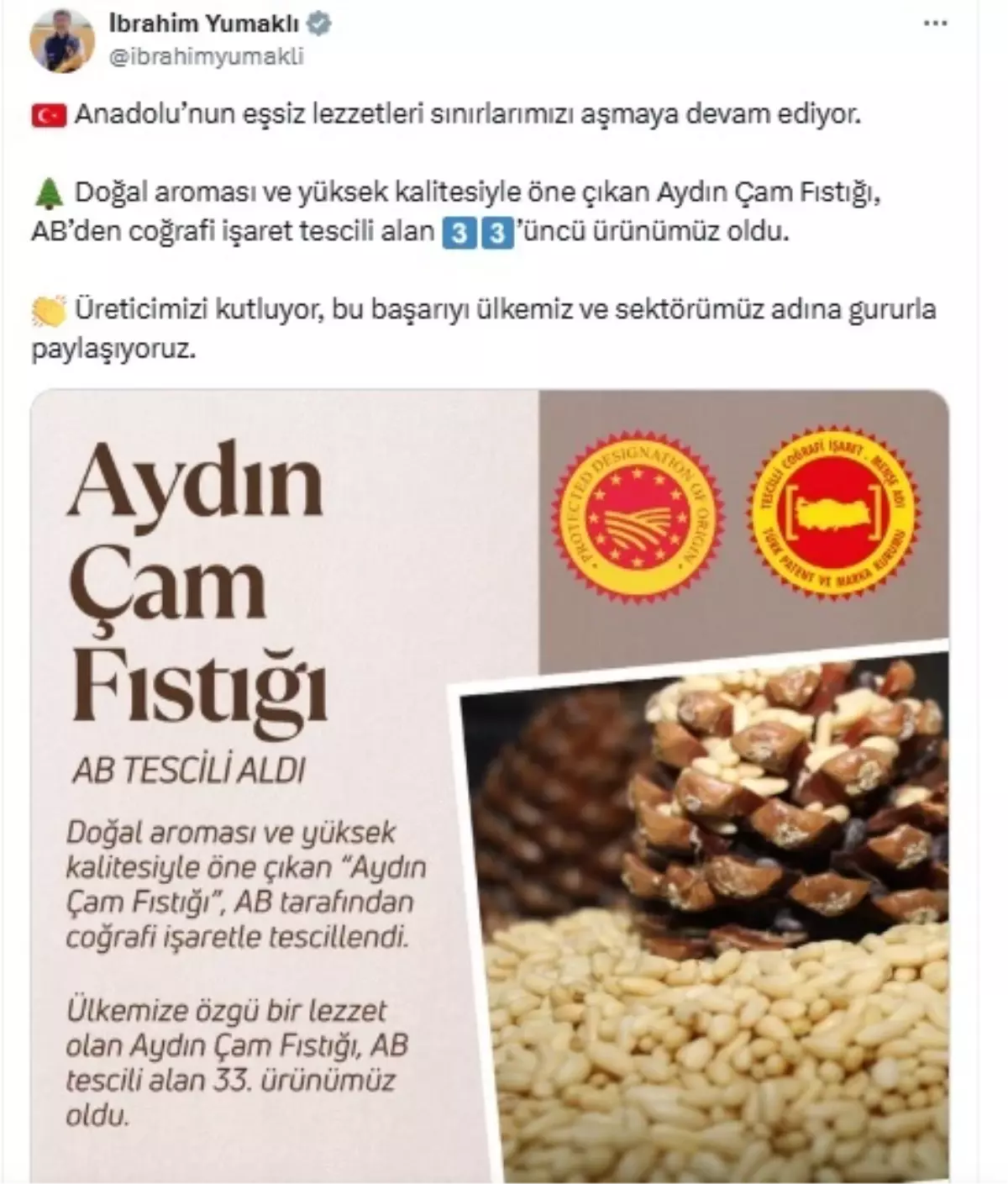 Aydın Çam Fıstığı Avrupa Birliği’nden Tescil Aldı