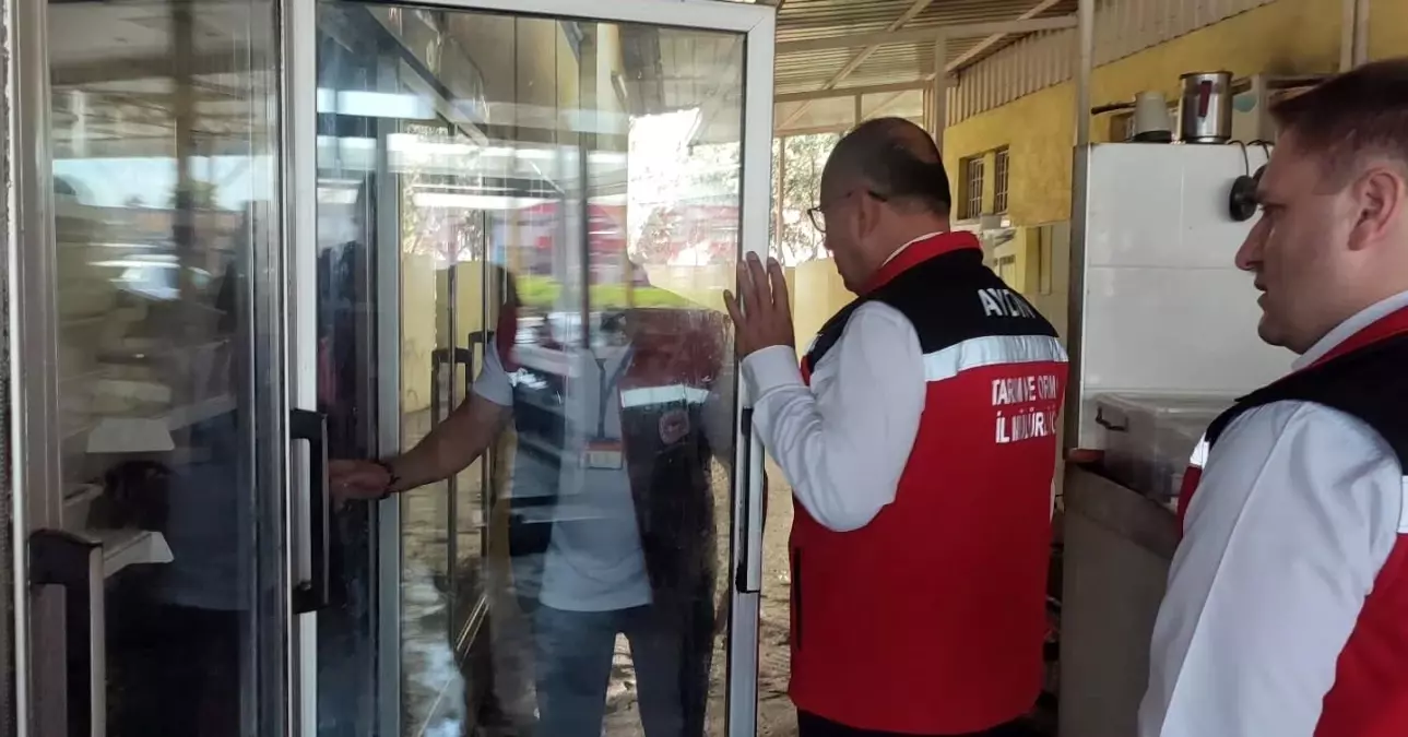 Aydın’da Çöp Şiş Denetimi: Tüm Numuneler Uygun