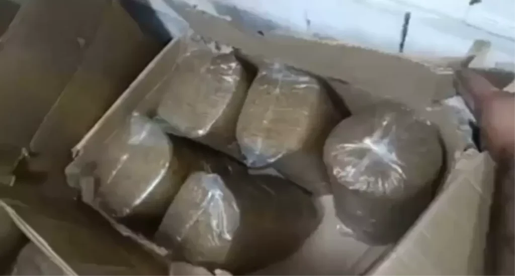 Aydın’da Kaçak Sigara Operasyonu: 1 Milyon Makaron Ele Geçirildi