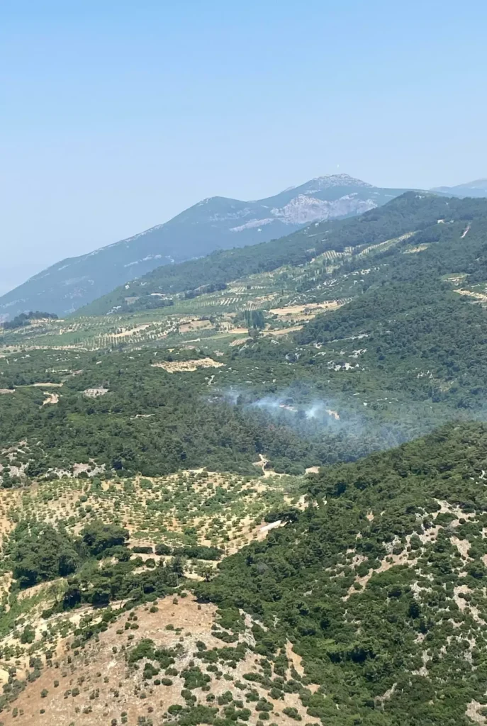 Aydın’da Orman Yangını Kontrol Altına Alındı