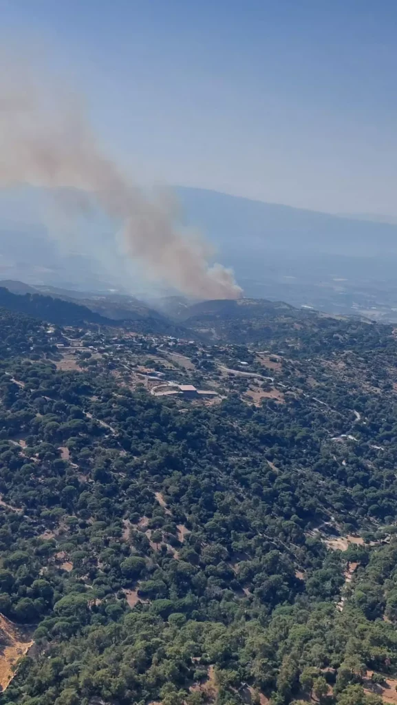 Aydın’da Tarım Arazisinden Ormana Sıçrayan Yangın