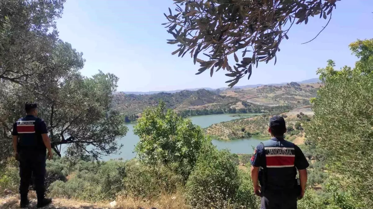 **Aydın’da Orman Yangınlarına Karşı Sıkı Tedbirler**