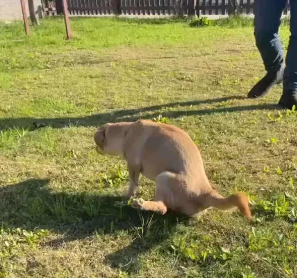 Kırılan Hayat Yeniden Doğdu