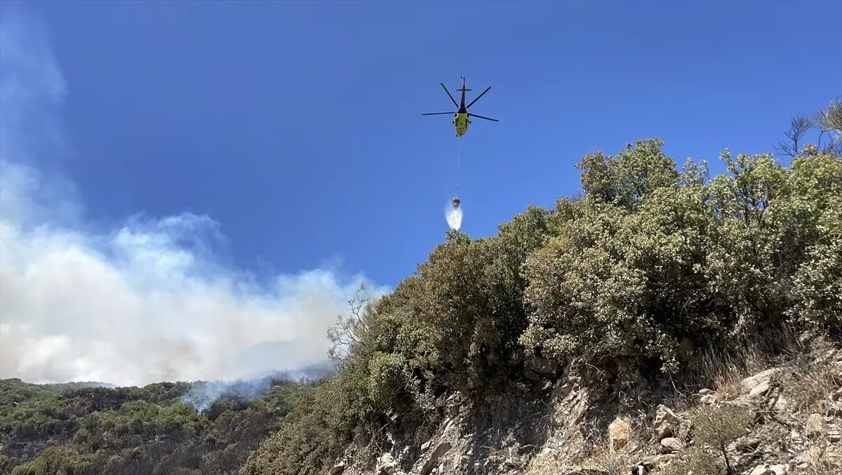 “Aydın’da Ziraat Alanı Yangını Ormana Sıçradı”