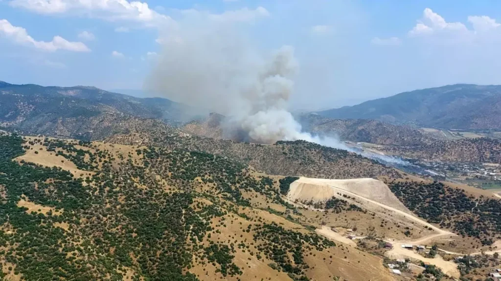 Yangın Aydın’ı Kuşatıyor: Ekipler Seferber Oldu