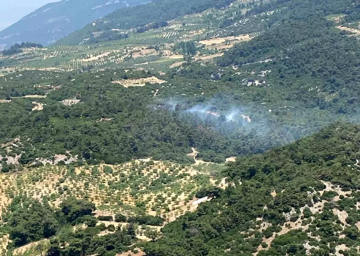 Aydın’da Orman Yangını Kontrol Altına Alındı