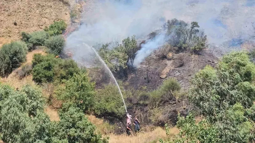 Yangınlar Aydın’ı Sarstı: 2 Bağ Evi Kül Oldu