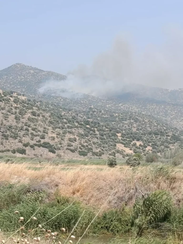 Aydın’ın Bozdoğan İlçesinde Makilik Yangını
