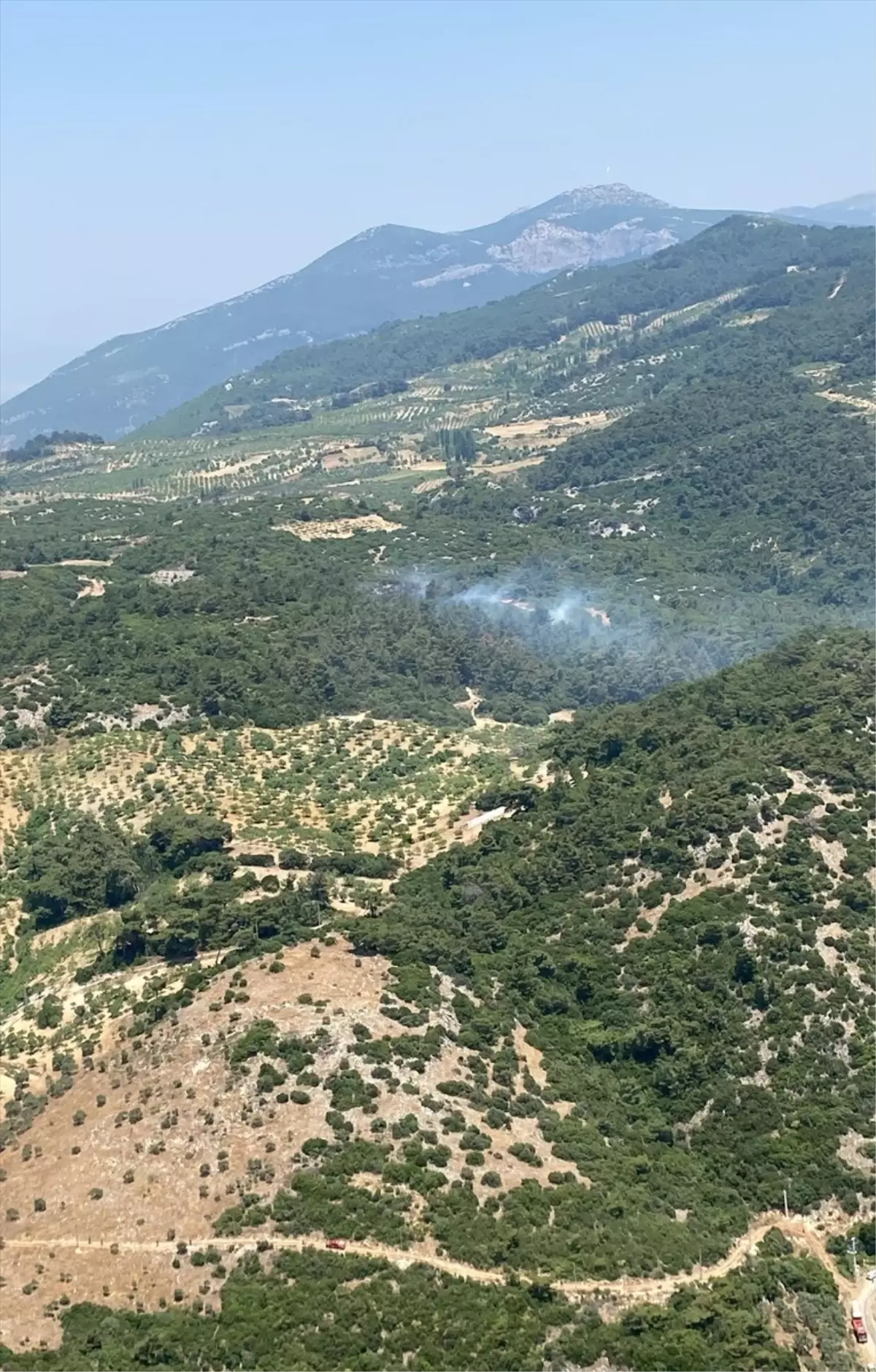 Aydın’da Kıyasıya Orman Yangını Mücadelesi