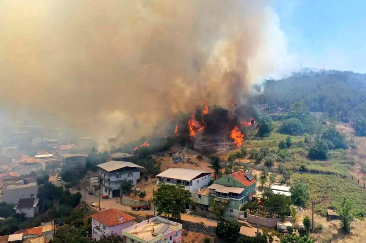 Bursa’da Orman Yangını Kontrol Altına Alınıyor