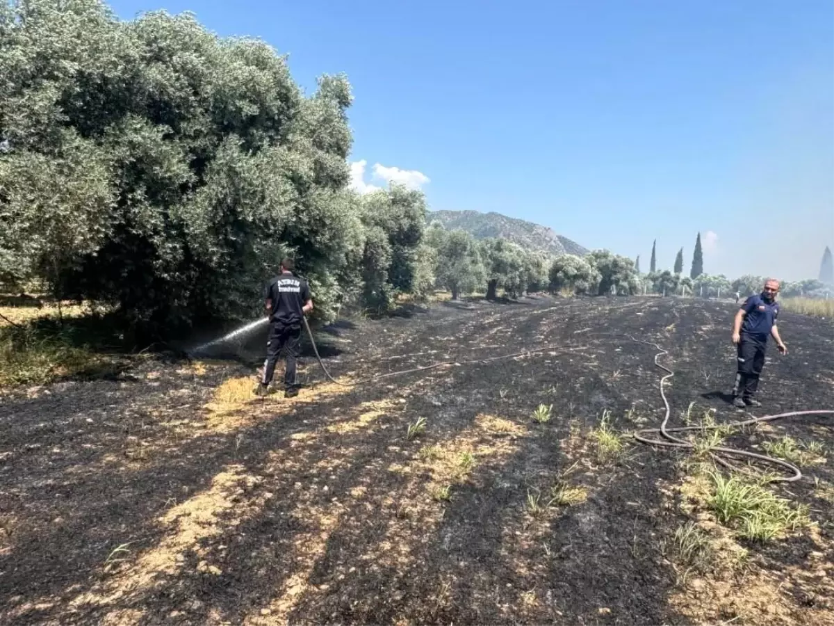 Yangın Riski Artıyor: İncirliova’da Bahçelik Alan Kuşatıldı