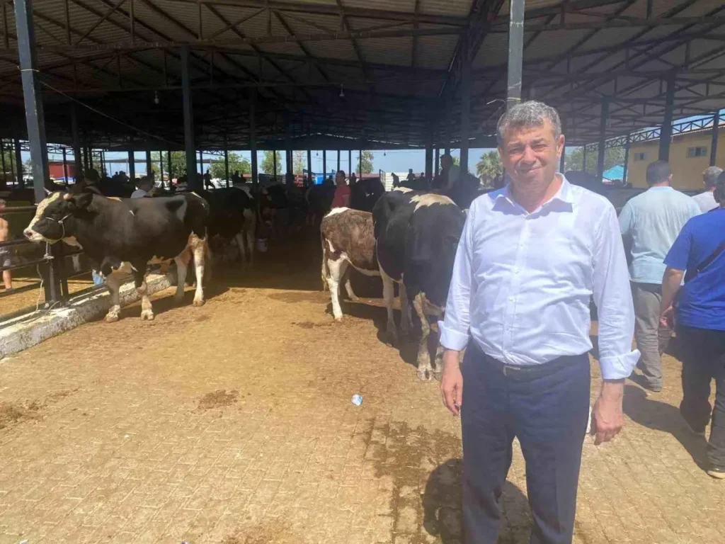 Aydın’da Kurban Bayramı Yoğunluğu: Esnaf ve Üreticiler Bir Arada