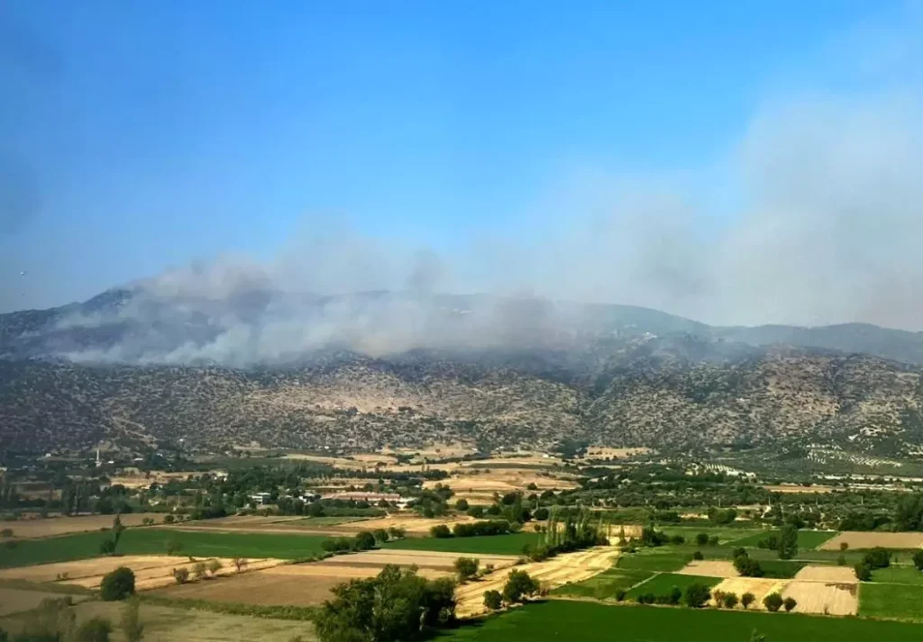 Aydın’ın Bozdoğan İlçesinde Makilik Yangını