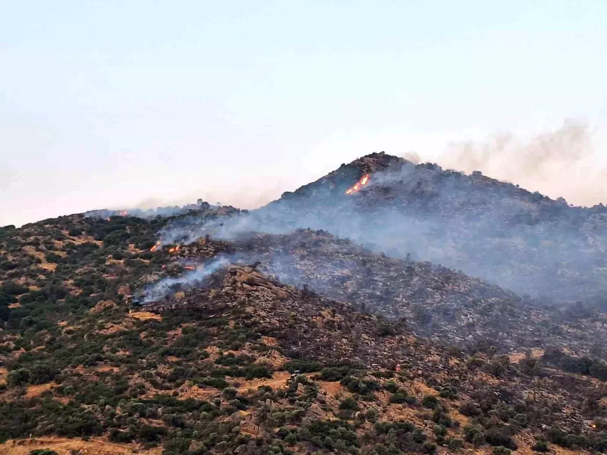 <h1>Bozdoğan’da Makilik Yangınına Yoğun Müdahale</h1>