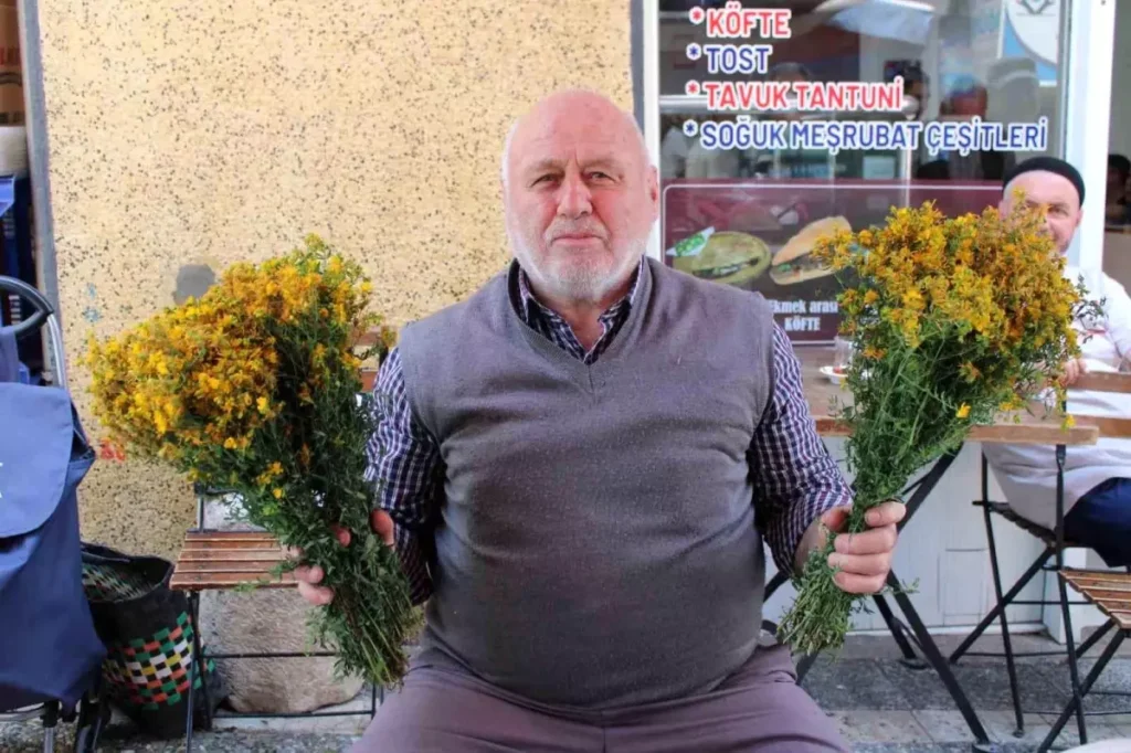 Doğal Şifa: Sarı Kantaron