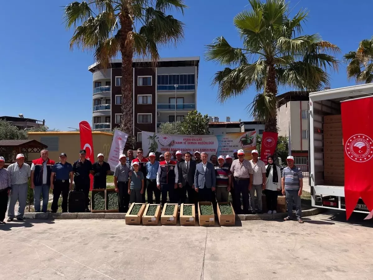 Domates Fide Dağıtımı ile Tarımsal Üretim Artıyor