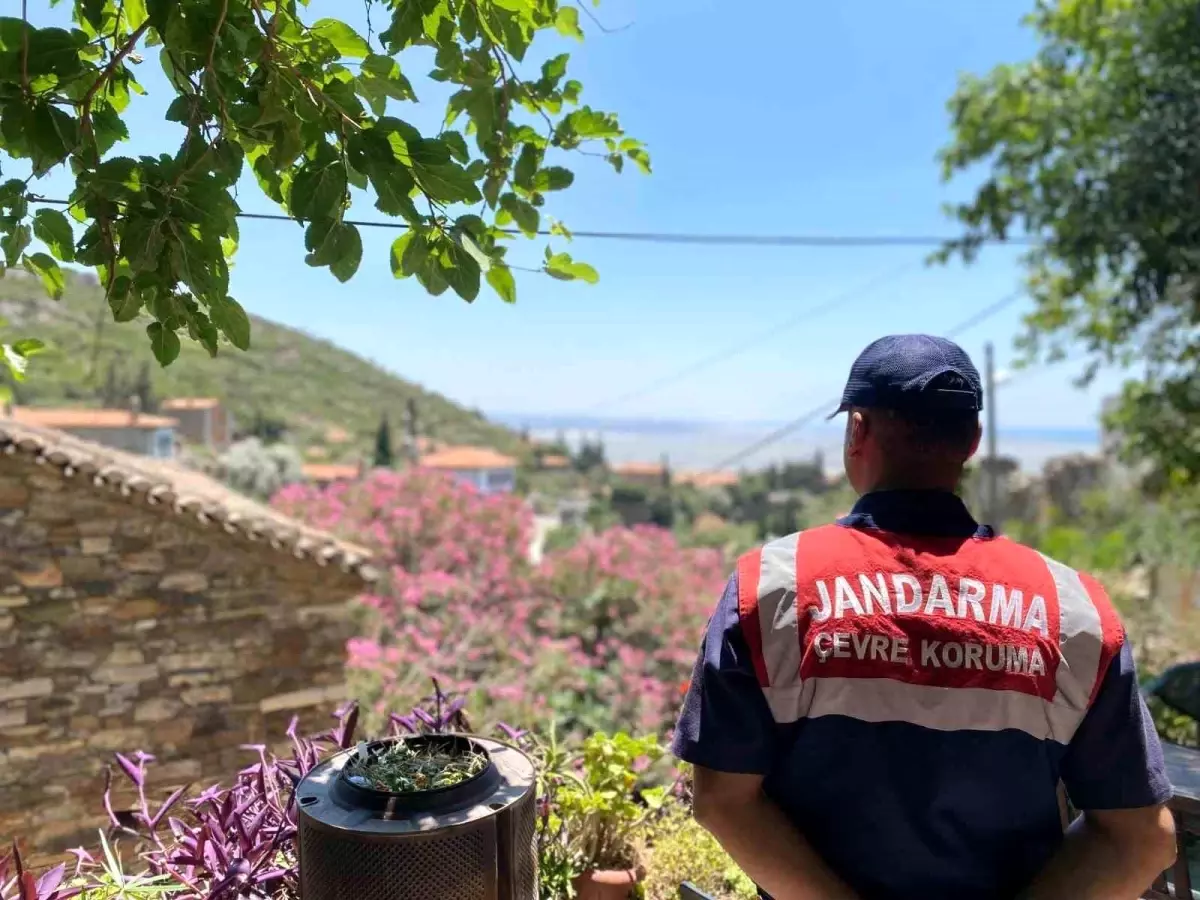 Doğanbey’de Orman Yangınlarına Dikkat Çekildi