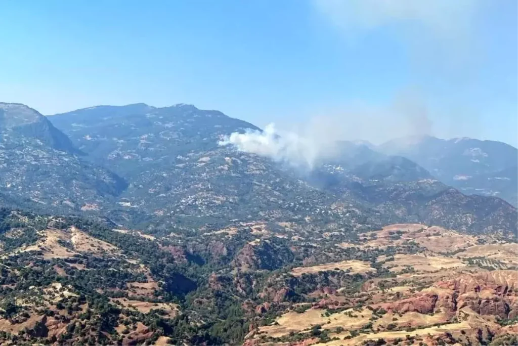 Aydın Efeler’de Orman Yangınıyla Mücadele Sürüyor