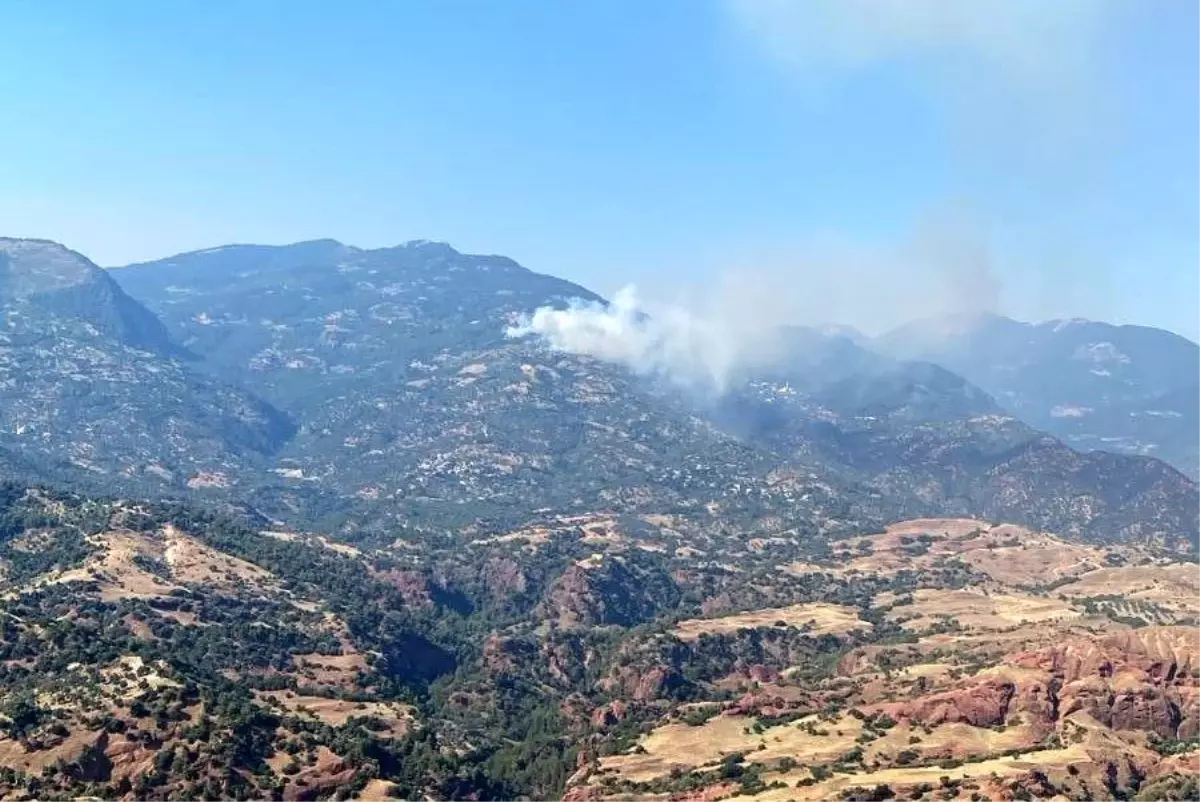 Aydın Efeler’de Orman Yangınıyla Mücadele Sürüyor