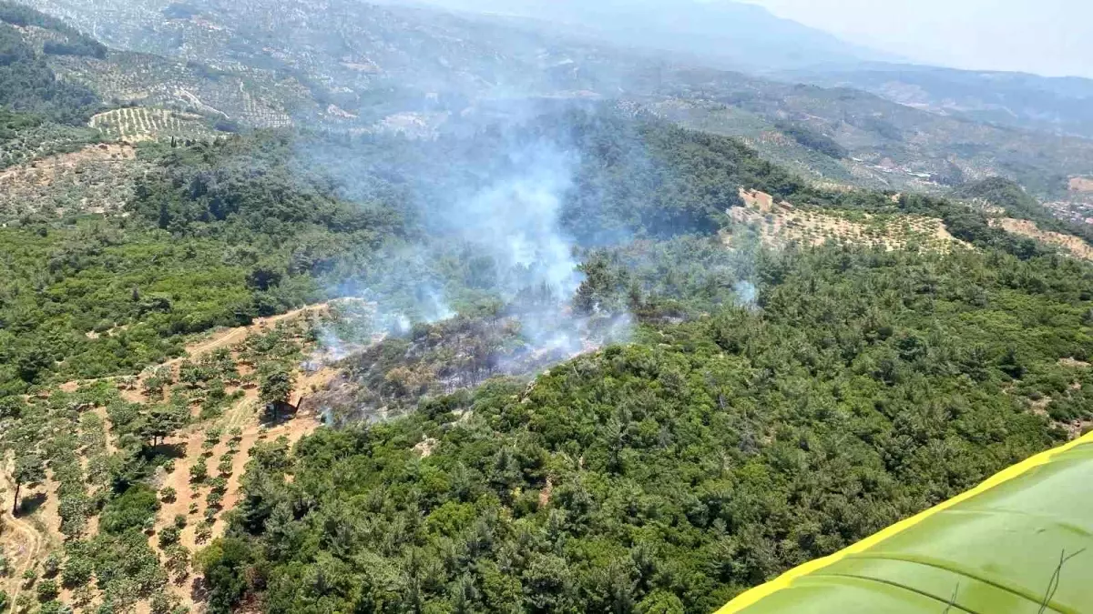 Aydın’da Orman Yangınına Karadan ve Havadan Müdahale