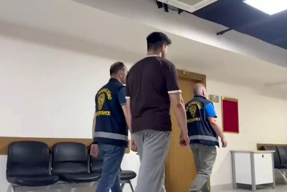 İstanbul’da Otluk Alanı Yakan Şahıs Tutuklandı