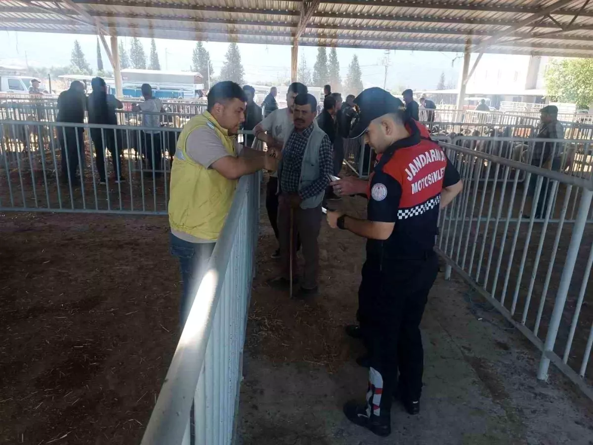 Kurban Bayramı Öncesi Jandarmadan Vatandaşa Uyarı