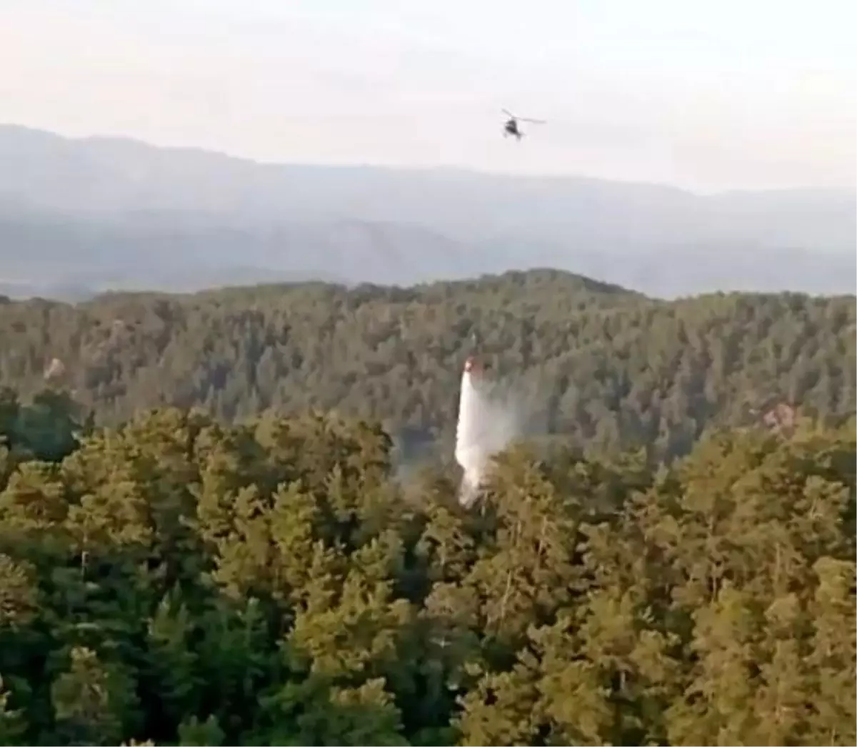 Ekipler Hızlı Müdahale Etti: Orman Yangınları Söndürüldü