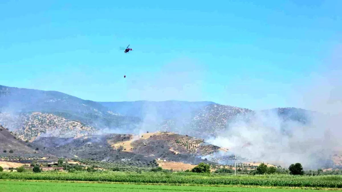 “Nazilli’de Zirai Alan Yangınına Karşı Mücadele Sürüyor”
