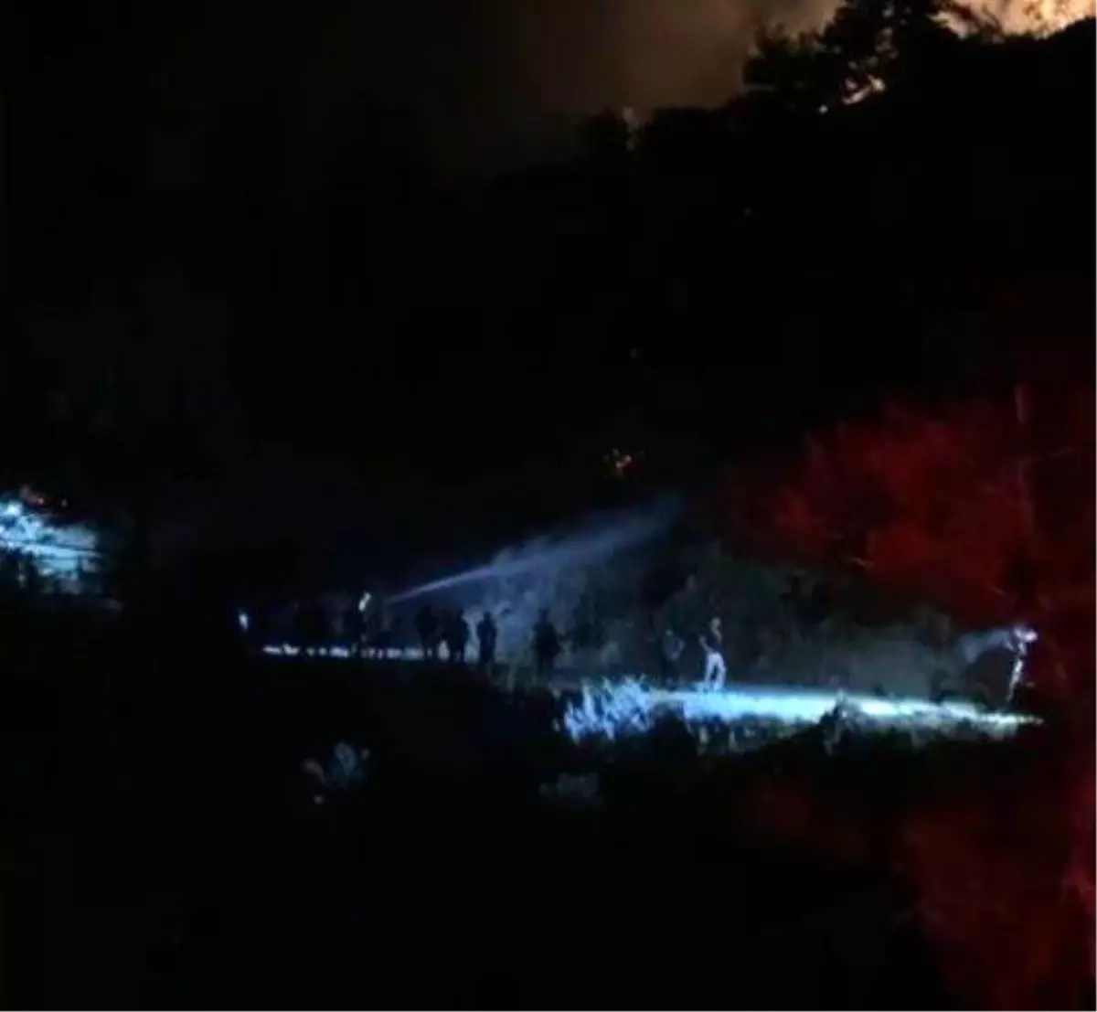 Orman Yangını Kontrol Altına Alındı