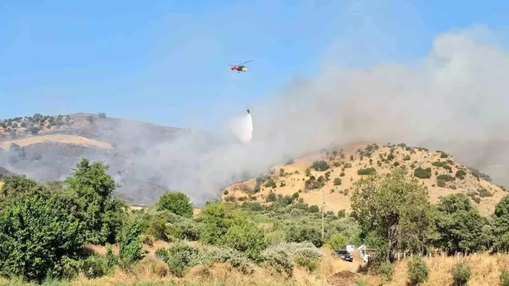 Nazilli’de Zirai Alan Yangını Kontrol Altına Alındı