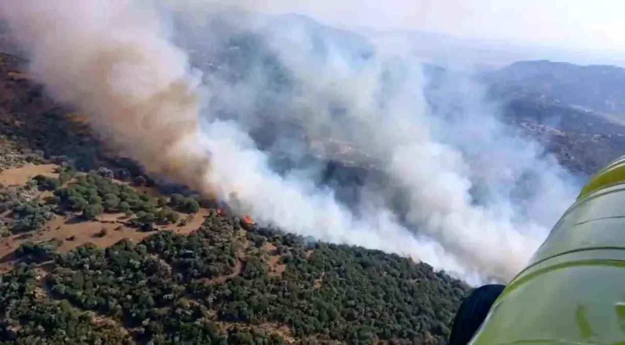 Aydın’ın Söke İlçesinde Zirai Alan Yangını Kontrol Altına Alındı
