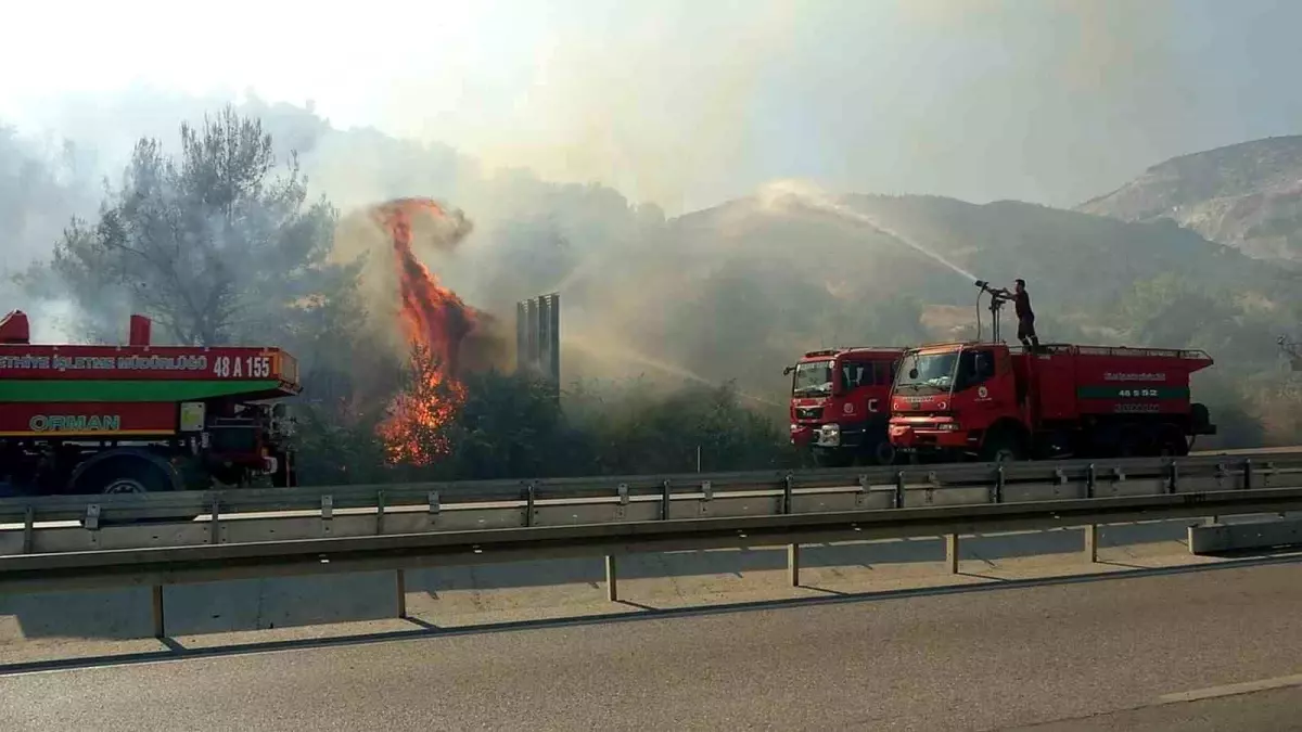 Hızlı Müdahale ile Söke Yangını Kontrol Altına Alındı