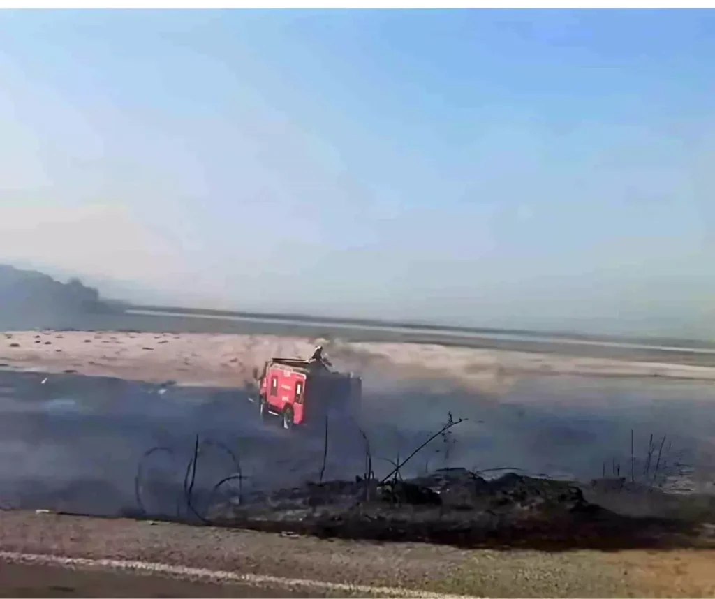 Söke’deki Tarla Yangını Korkuttu, Hasar Oluştu